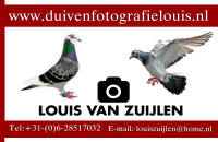 Louis van Zuijlen